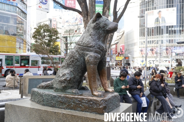 Hachiko la statue du chien fidele a shibuya