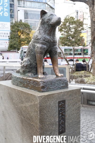 Hachiko la statue du chien fidele a shibuya