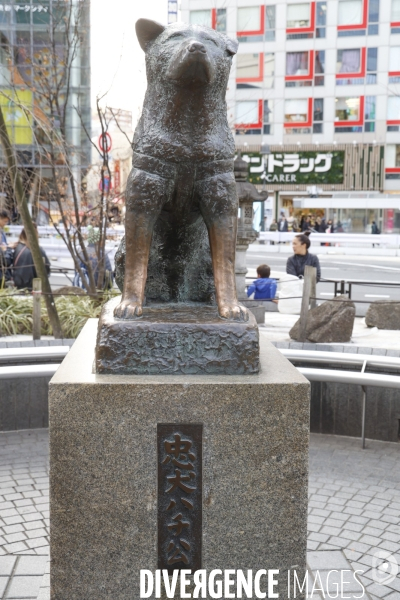 Hachiko la statue du chien fidele a shibuya