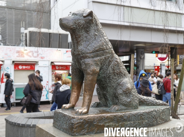 Hachiko la statue du chien fidele a shibuya