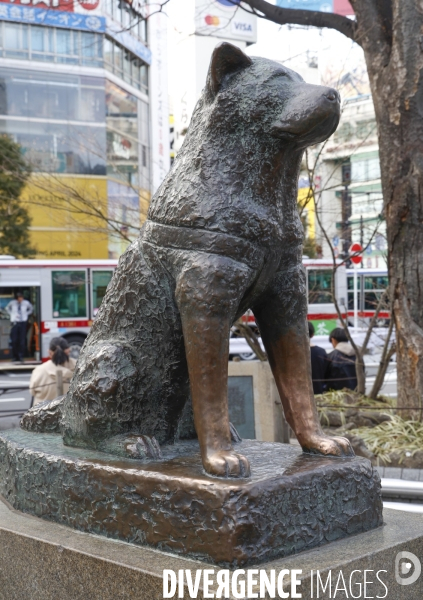 Hachiko la statue du chien fidele a shibuya