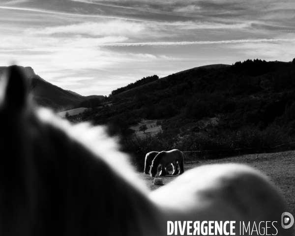 Mon Hiver à l envers  # Rappel