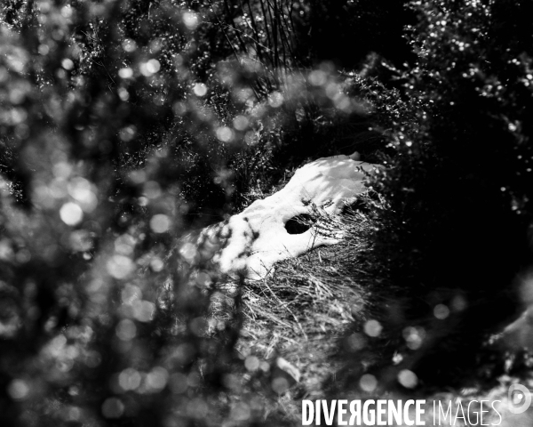 Mon Hiver à l envers  # Rappel