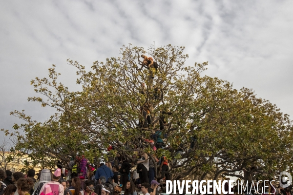 Carnaval de La Plaine à Marseille