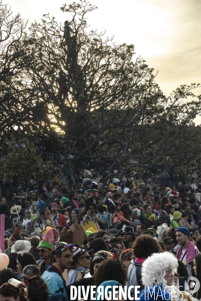 Carnaval de La Plaine à Marseille