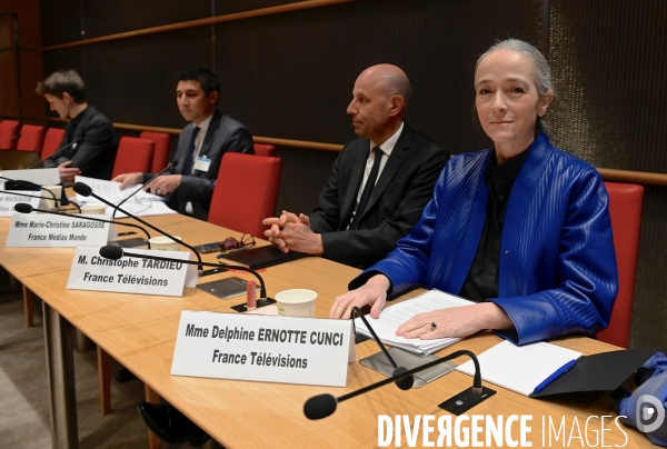 Assemblee Nationale / Audition de Delphine Ernotte Cunci
