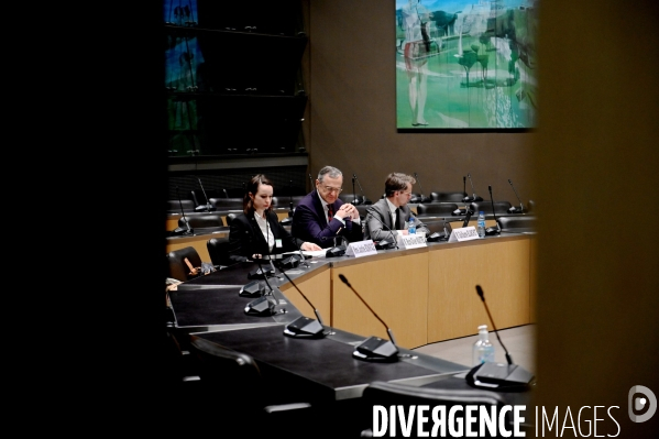 Assemblee Nationale / Audition de Roch-Olivier Maistre