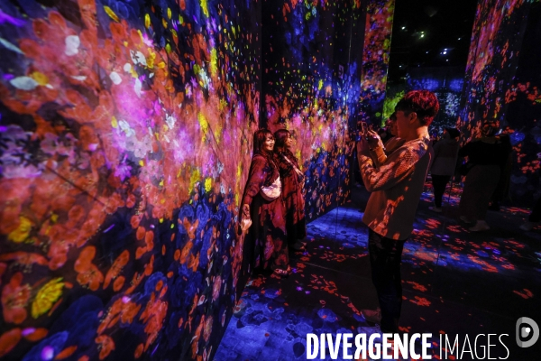 Teamlab borderless le nouveau musee d art numerique de tokyo