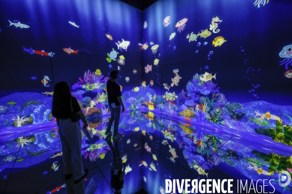 Teamlab borderless le nouveau musee d art numerique de tokyo