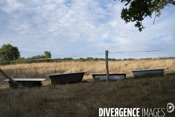 Un été en Creuse