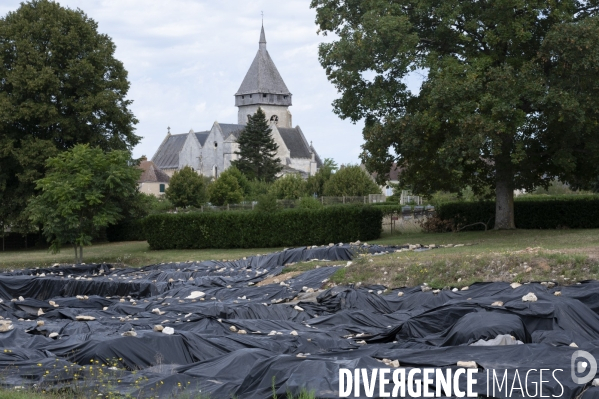 Un été en Creuse