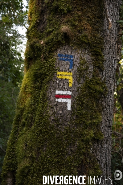 Un été en Creuse