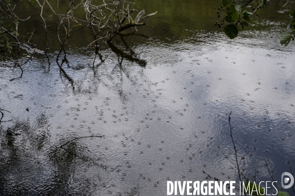 Un été en Creuse