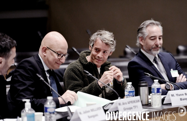 Assemblee Nationale/ Audition de Yann Barthès