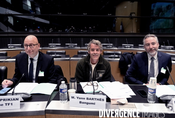 Assemblee Nationale/ Audition de Yann Barthès