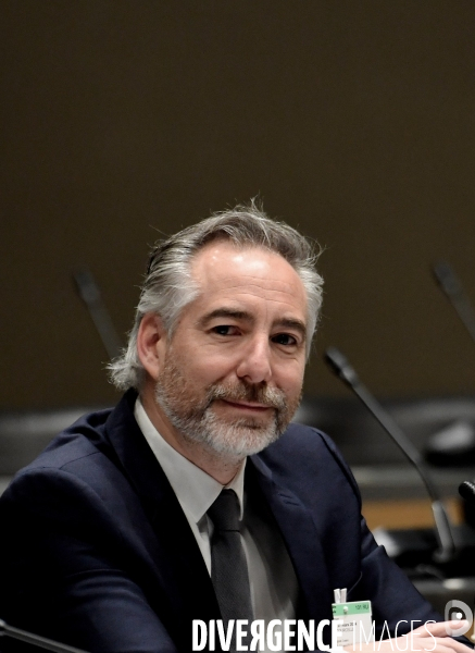Assemblee Nationale/ Audition de Thomas Courcelle