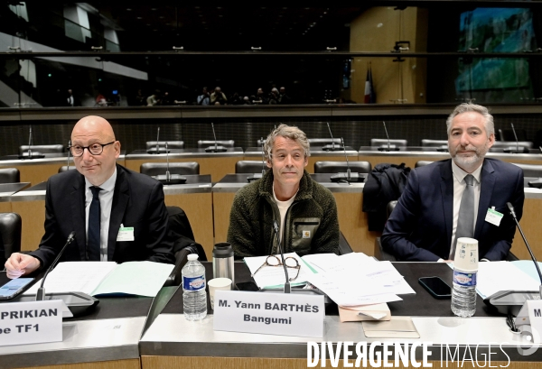 Assemblee Nationale/ Audition de Yann Barthès