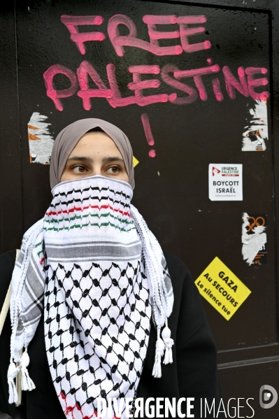 Conflit Israelo Palestinien. Manifestation  Gaza stop génocide  , à Paris. Israel-Gaza conflict.