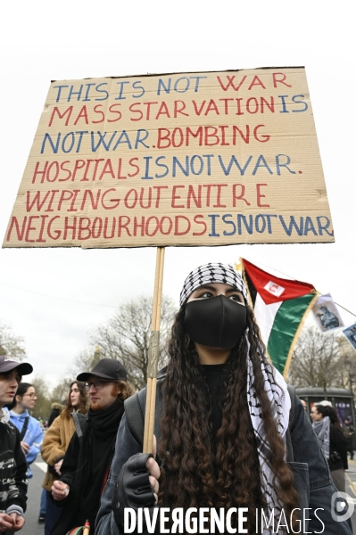 Conflit Israelo Palestinien. Manifestation  Gaza stop génocide  , à Paris. Israel-Gaza conflict.