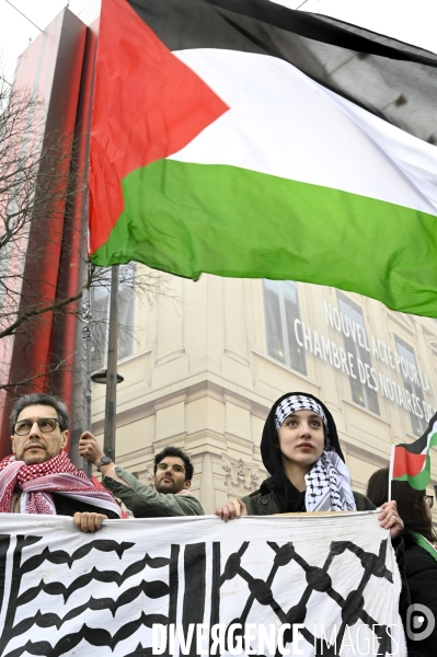 Conflit Israelo Palestinien. Manifestation  Gaza stop génocide  , à Paris. Israel-Gaza conflict.