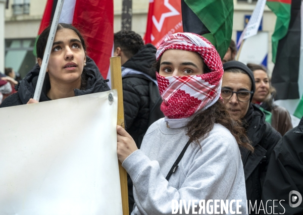 Conflit Israelo Palestinien. Manifestation  Gaza stop génocide  , à Paris. Israel-Gaza conflict.