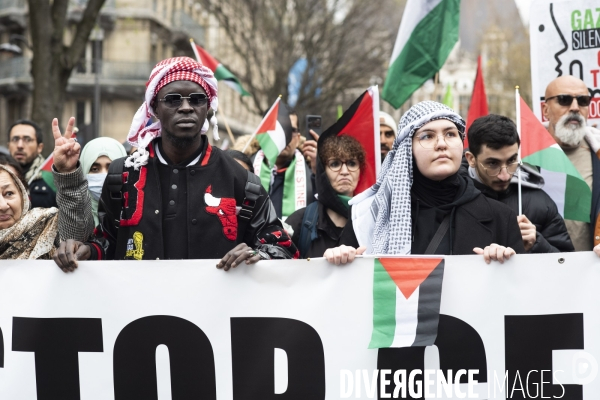 Conflit Israelo Palestinien. Manifestation  Gaza stop génocide  , à Paris. Israel-Gaza conflict.