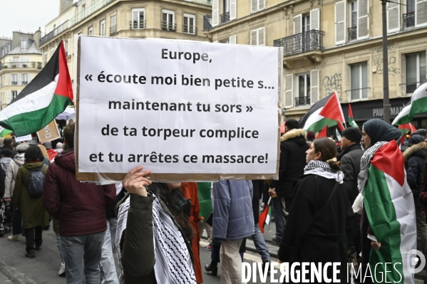 Conflit Israelo Palestinien. Manifestation  Gaza stop génocide  , à Paris. Israel-Gaza conflict.