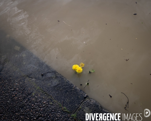 Inondation Dijon