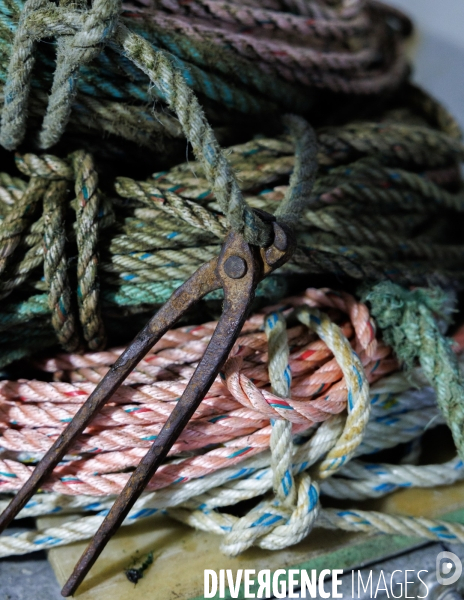 Pêcheurs en colère
