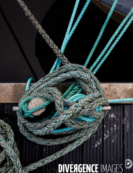 Pêcheurs en colère