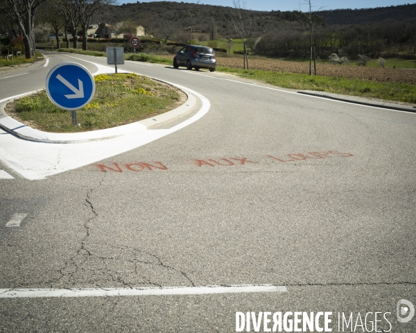 Présence du loup en Provence