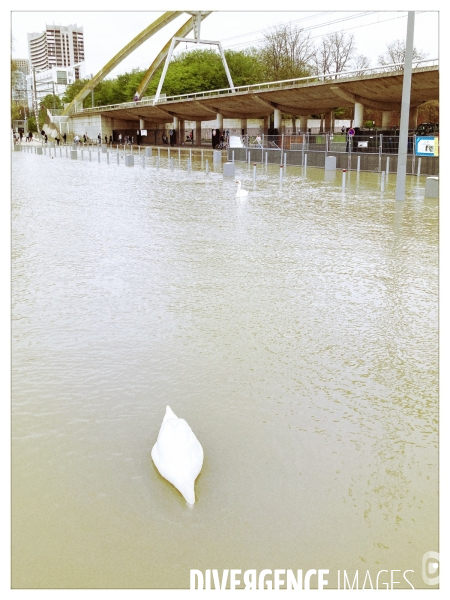 A Paris la Seine, en crue