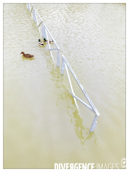 A Paris la Seine, en crue