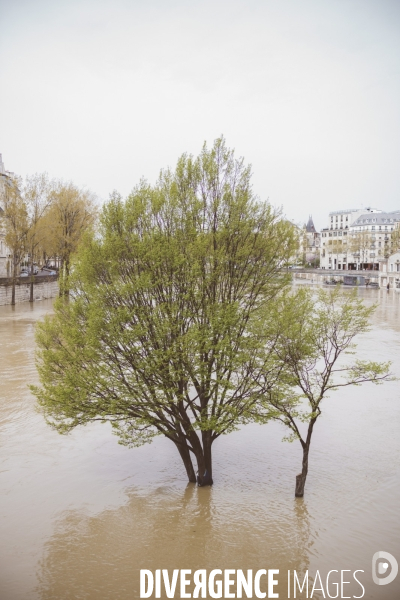 Crue de la Seine