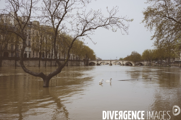 Crue de la Seine