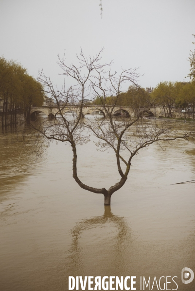 Crue de la Seine
