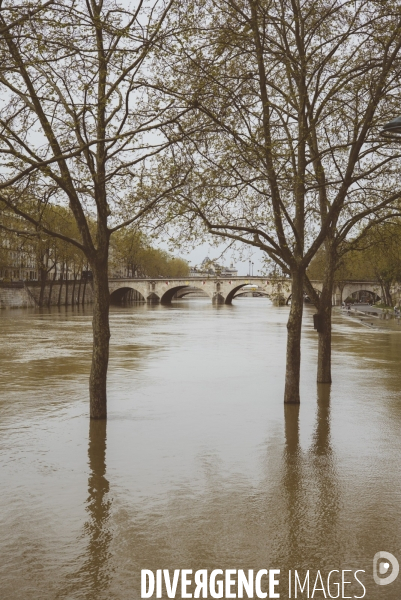 Crue de la Seine
