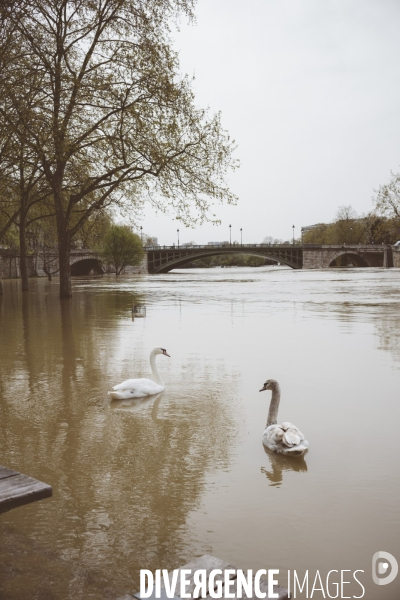 Crue de la Seine