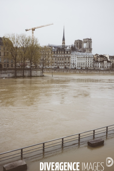 Crue de la Seine
