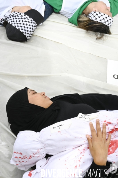 Conflit Israelo Palestinien.   Grève de la faim en soutien à Gaza   , Paris, le 6 avril. Israel-Gaza conflict.