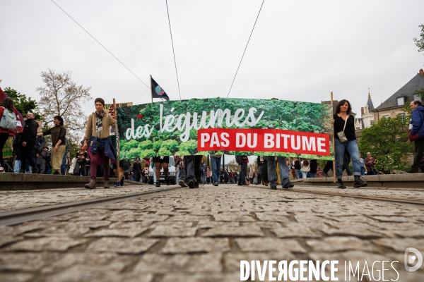 Des légumes, pas du bitume