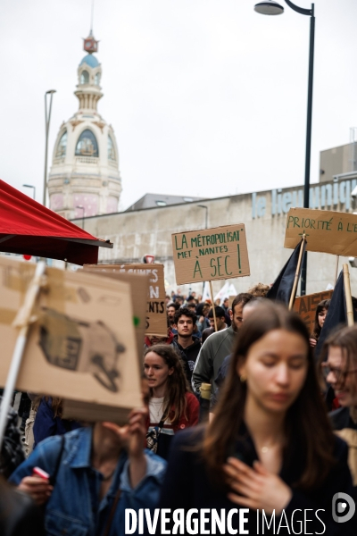 Des légumes, pas du bitume