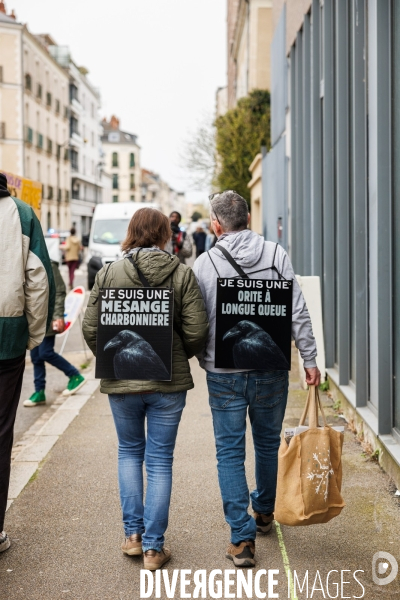 Des légumes, pas du bitume