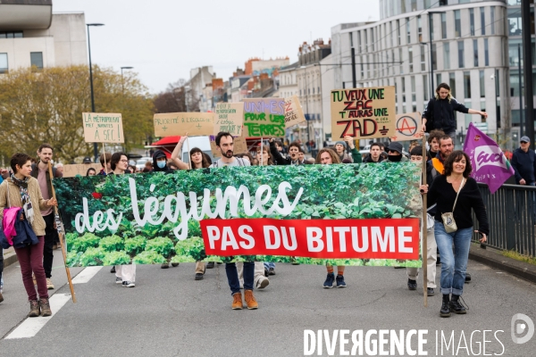 Des légumes, pas du bitume