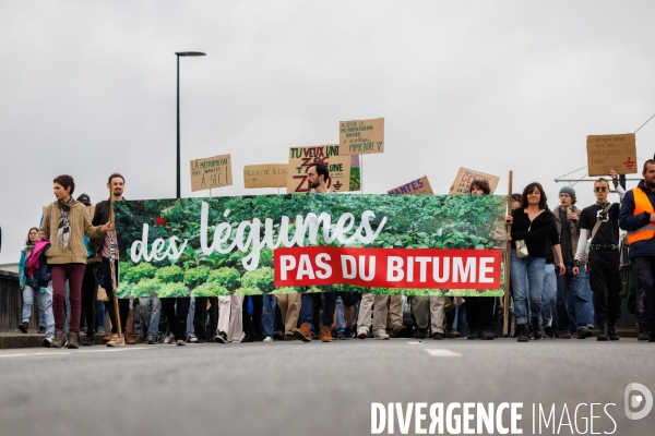 Des légumes, pas du bitume
