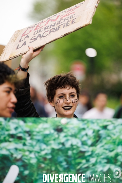 Des légumes, pas du bitume