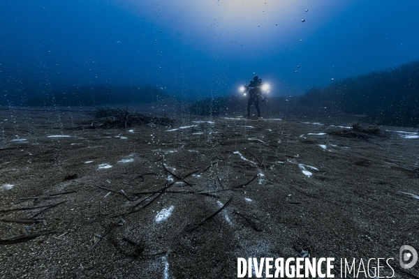 Hydrothermal activity and primitive bacteria