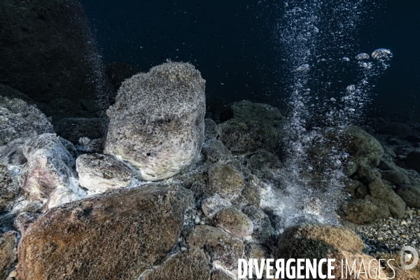 Studying the primitive bacteria under the Panarea volcanic island