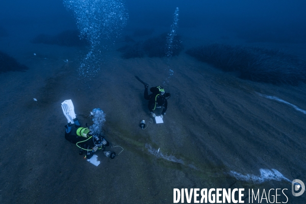 Studying the primitive bacteria under the Panarea volcanic island