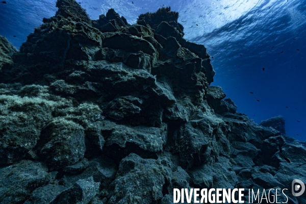 An underwater landscape shaped by the volcano